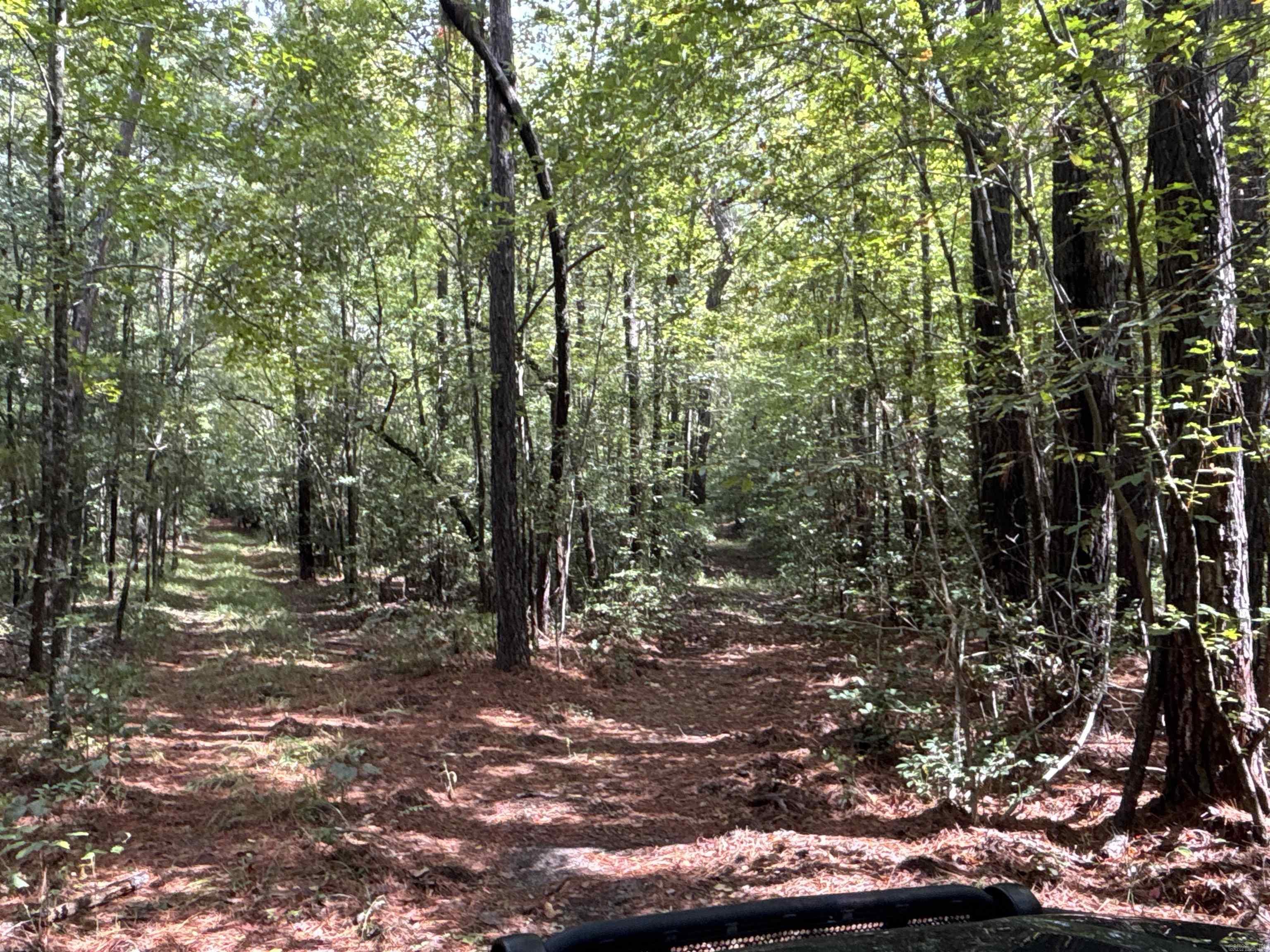 CHIDESTER LOTS AND BLOCKSCH - Land