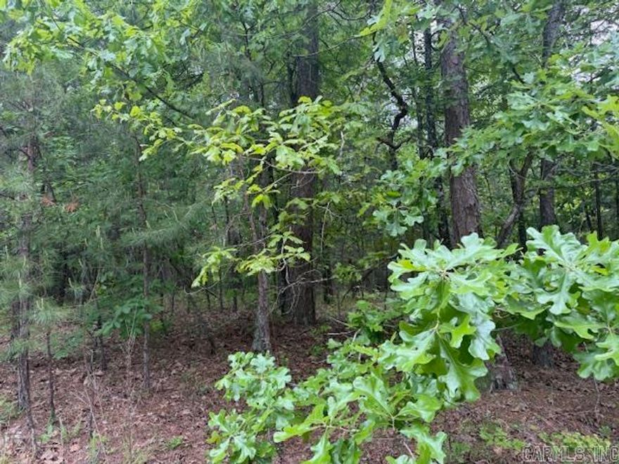 Here's a chance tp be a part of this great neighborhood near Ponce De Leon Golf Course.