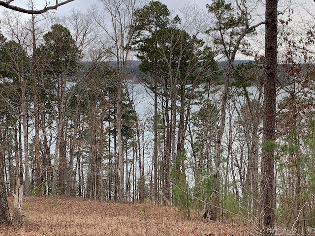 Bee Branch Estates - Land