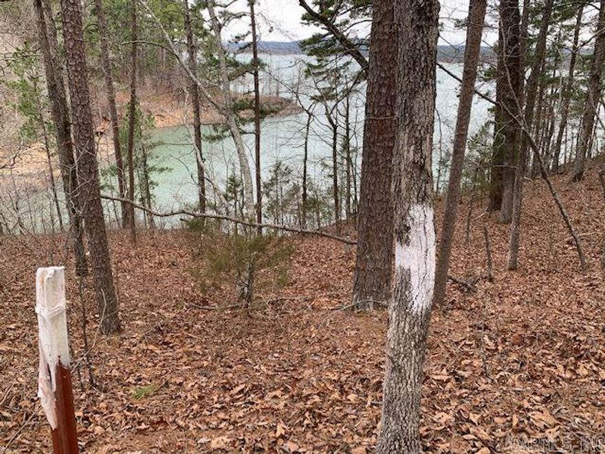 3.44 Acre WATERFRONT LOT on Greers Ferry Lake with 317' of lakefront shoreline. Water, Electricity and Fiber internet are to the property at the road. The private drive has an automatic gate. Gate Code is in Agent remarks. Must be accompanied by a realtor. Covenants in Docs online.