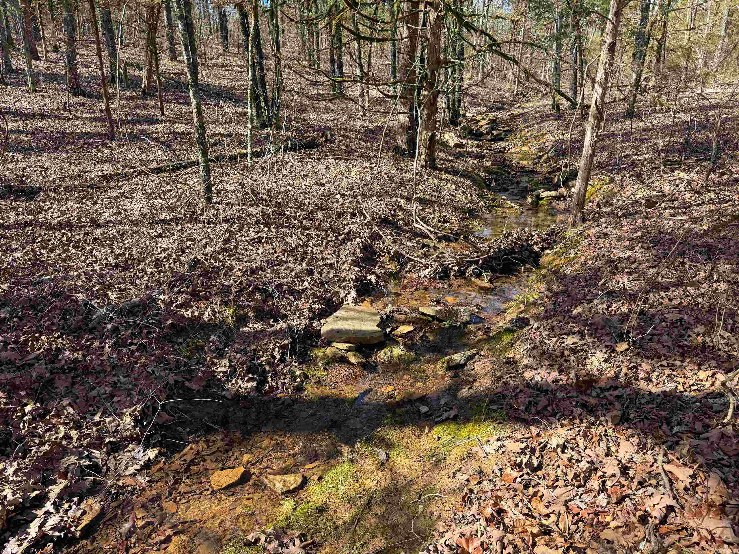 Metes & Bounds - Land