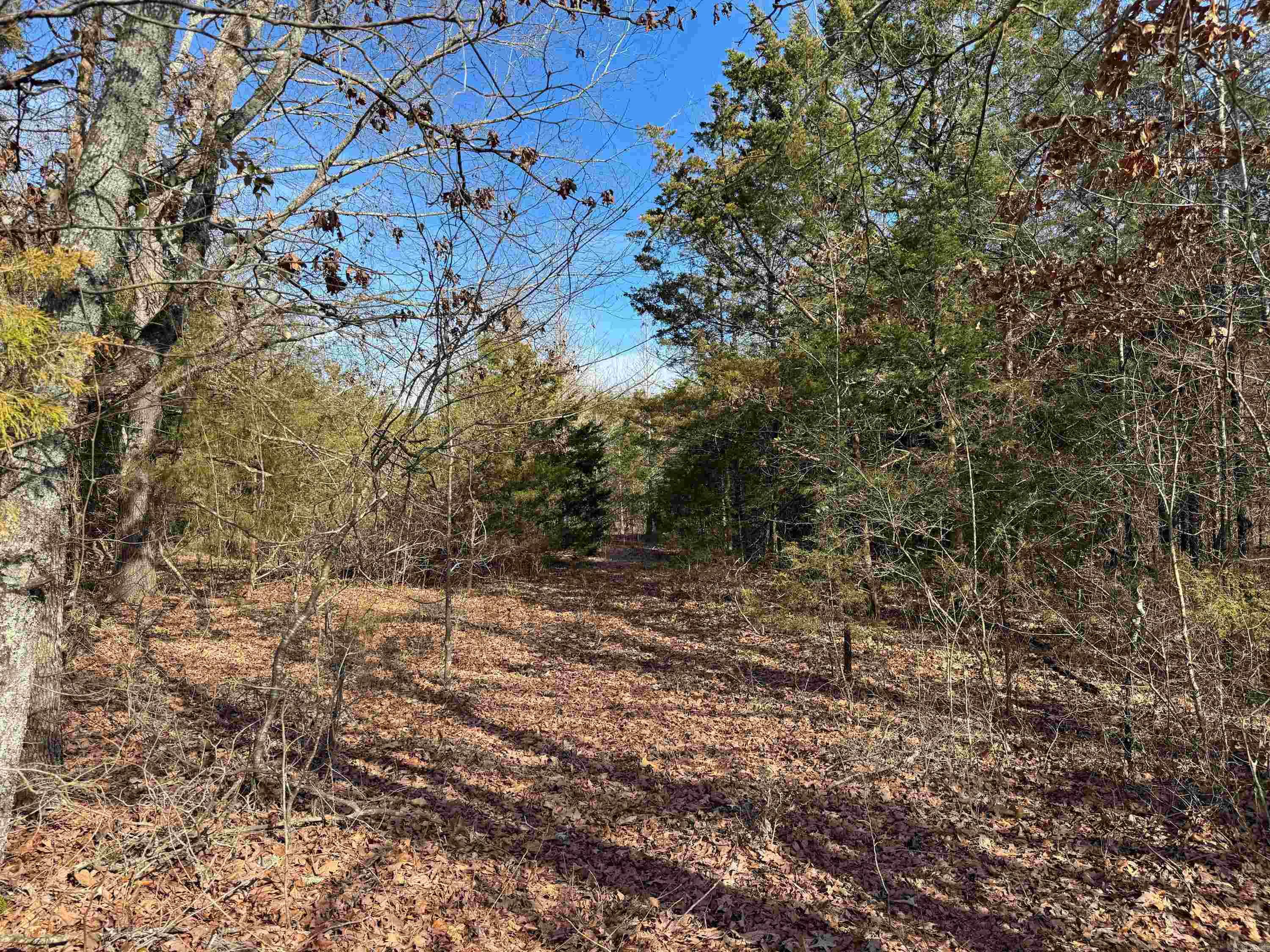 Metes & Bounds - Land