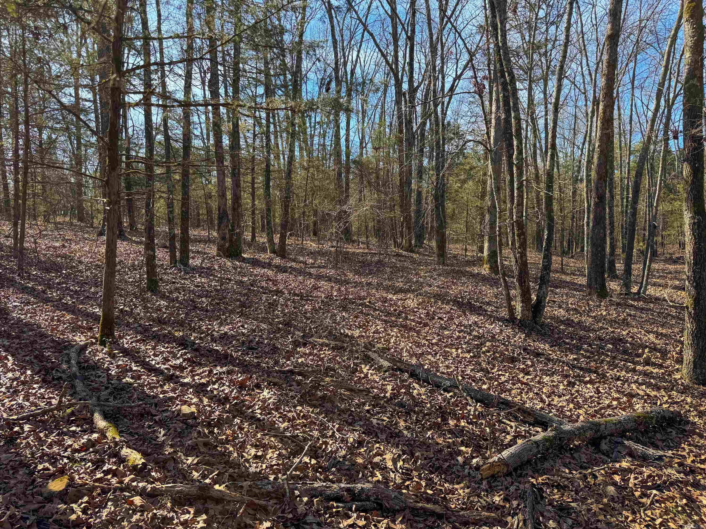 Metes & Bounds - Land