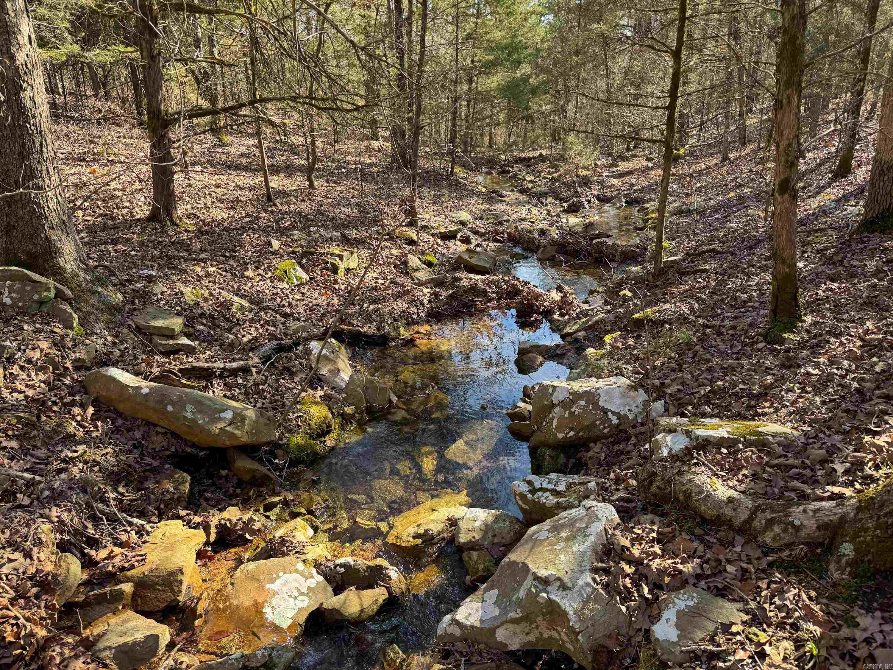 Metes & Bounds - Land