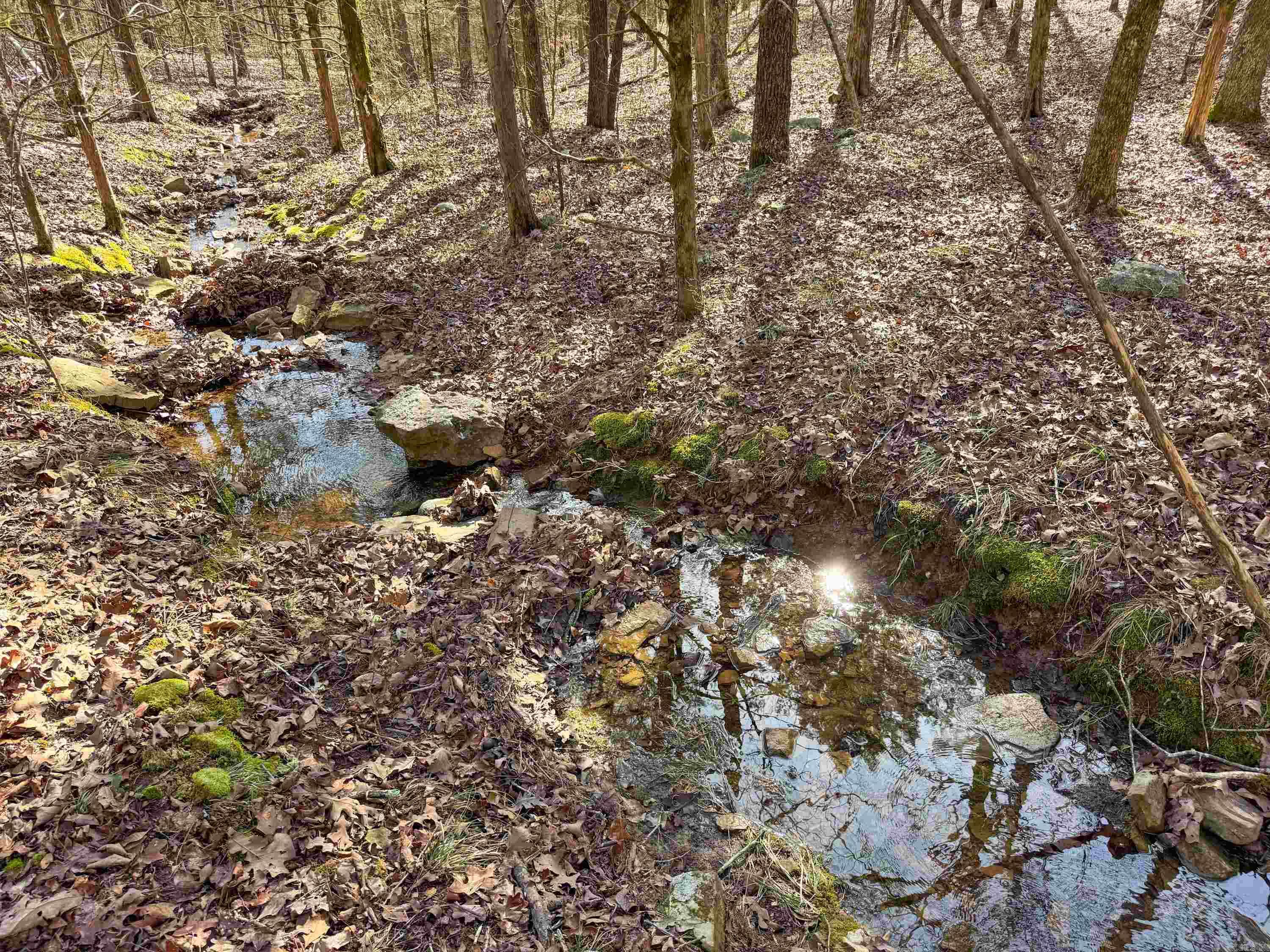 Metes & Bounds - Land