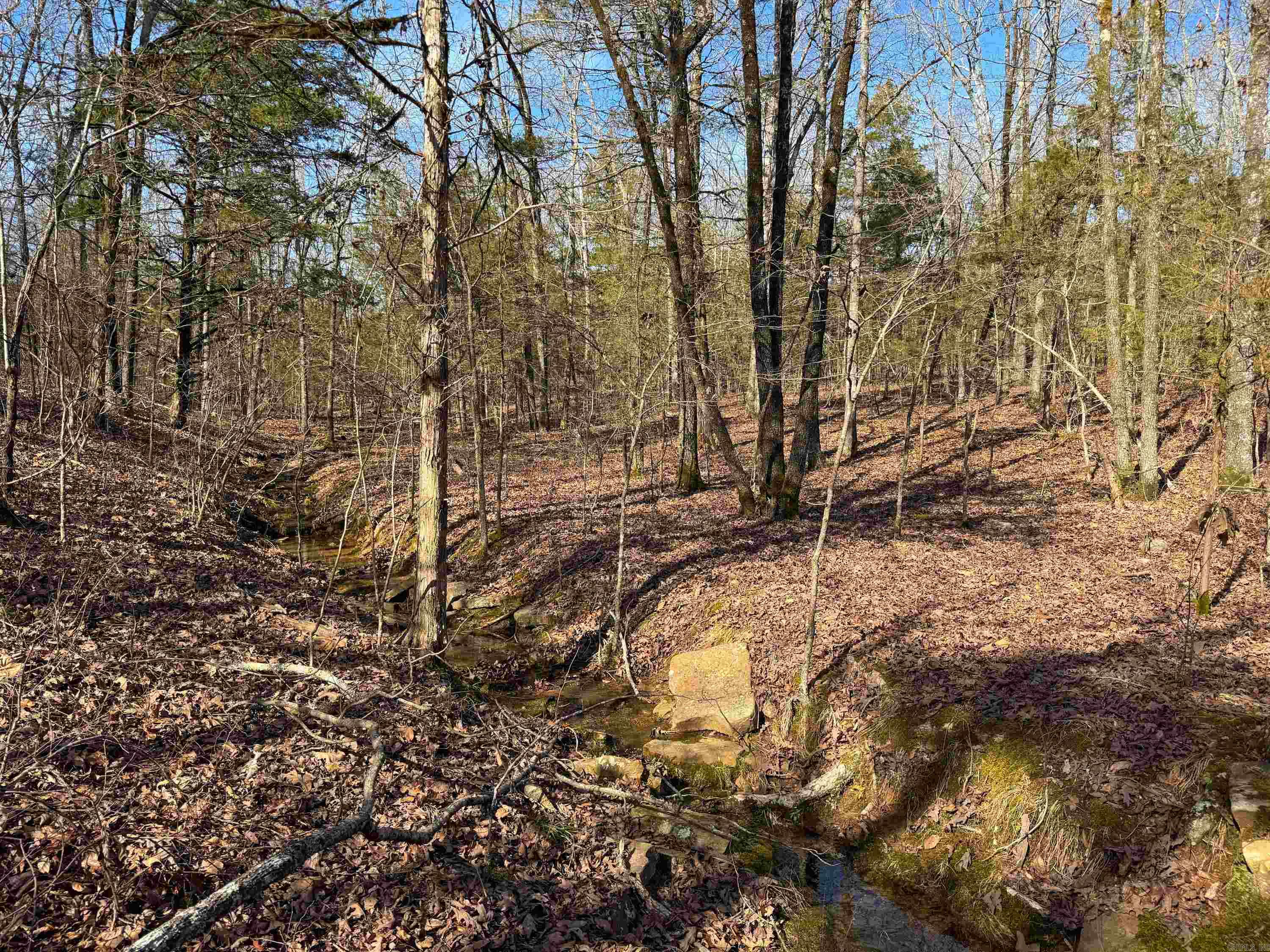 Metes & Bounds - Land