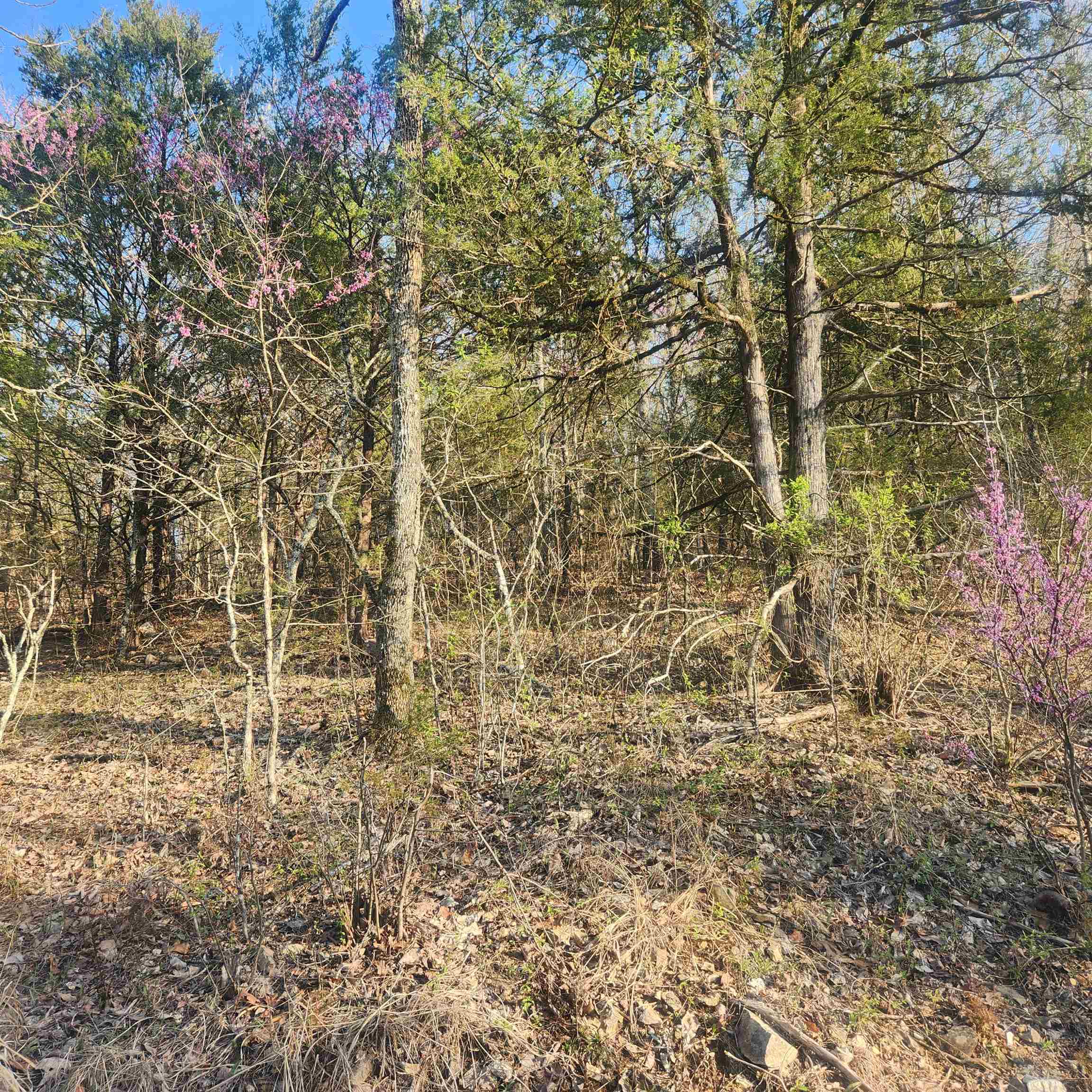 This is a gently sloping lot with an uphill slope. It has easy access to the 4-lane highway for shopping and dining. This is a nice, wooded lot just waiting for you to come pick the spot you want to build your dream home on. With property ownership comes access to all the amenities of Cherokee Village. 7 Lakes, 2 Golf courses, 2 recreational centers and don't forget about the beautiful Southfork River that meanders right through Cherokee Village.