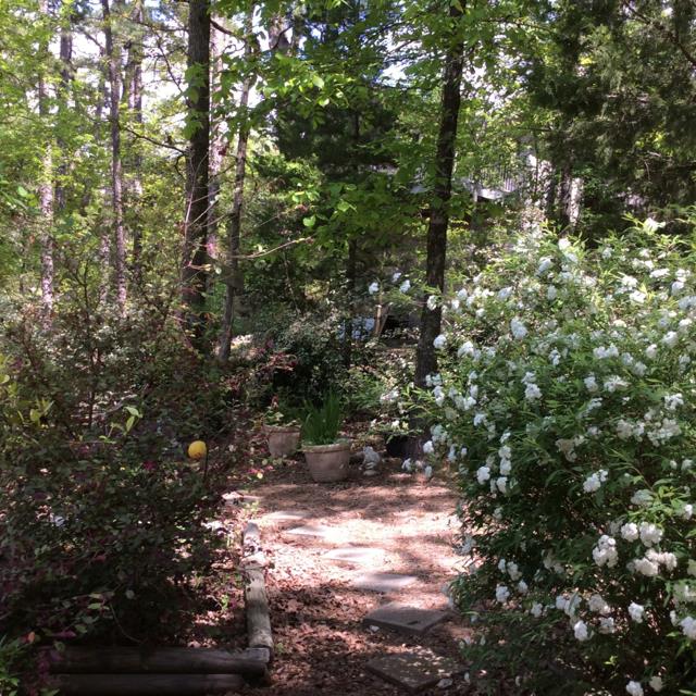 Salvatierra - Residential