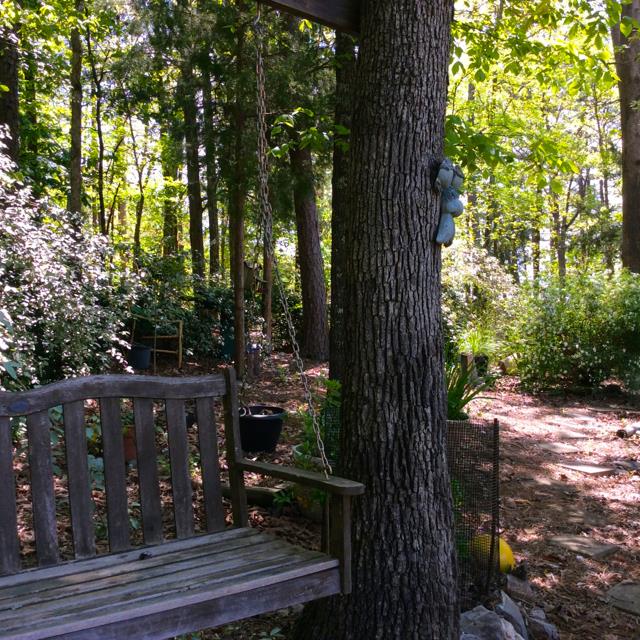 Salvatierra - Residential