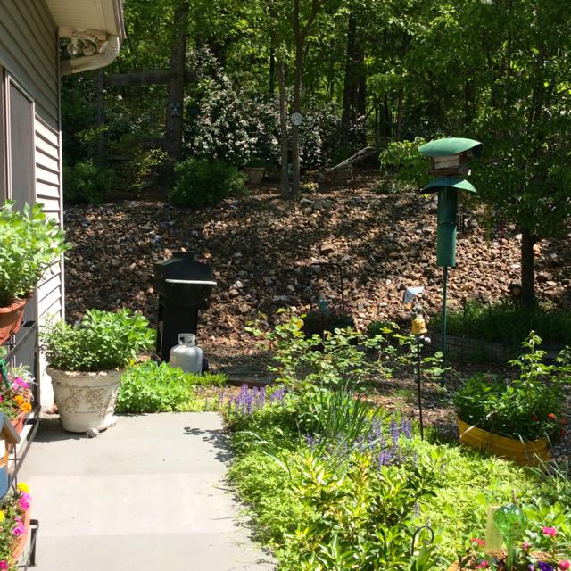 Salvatierra - Residential