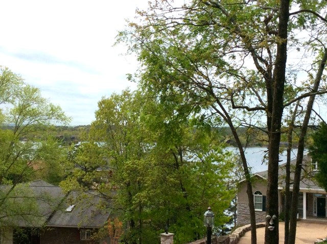 Salvatierra - Residential