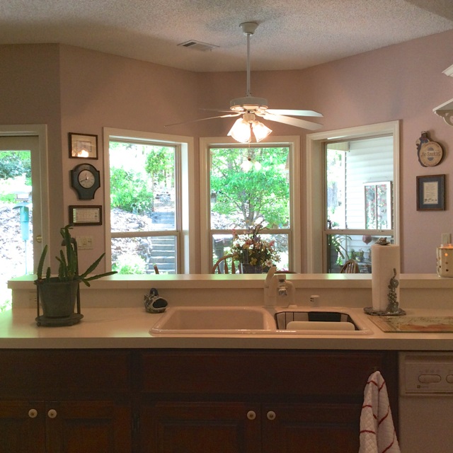 Salvatierra - Residential