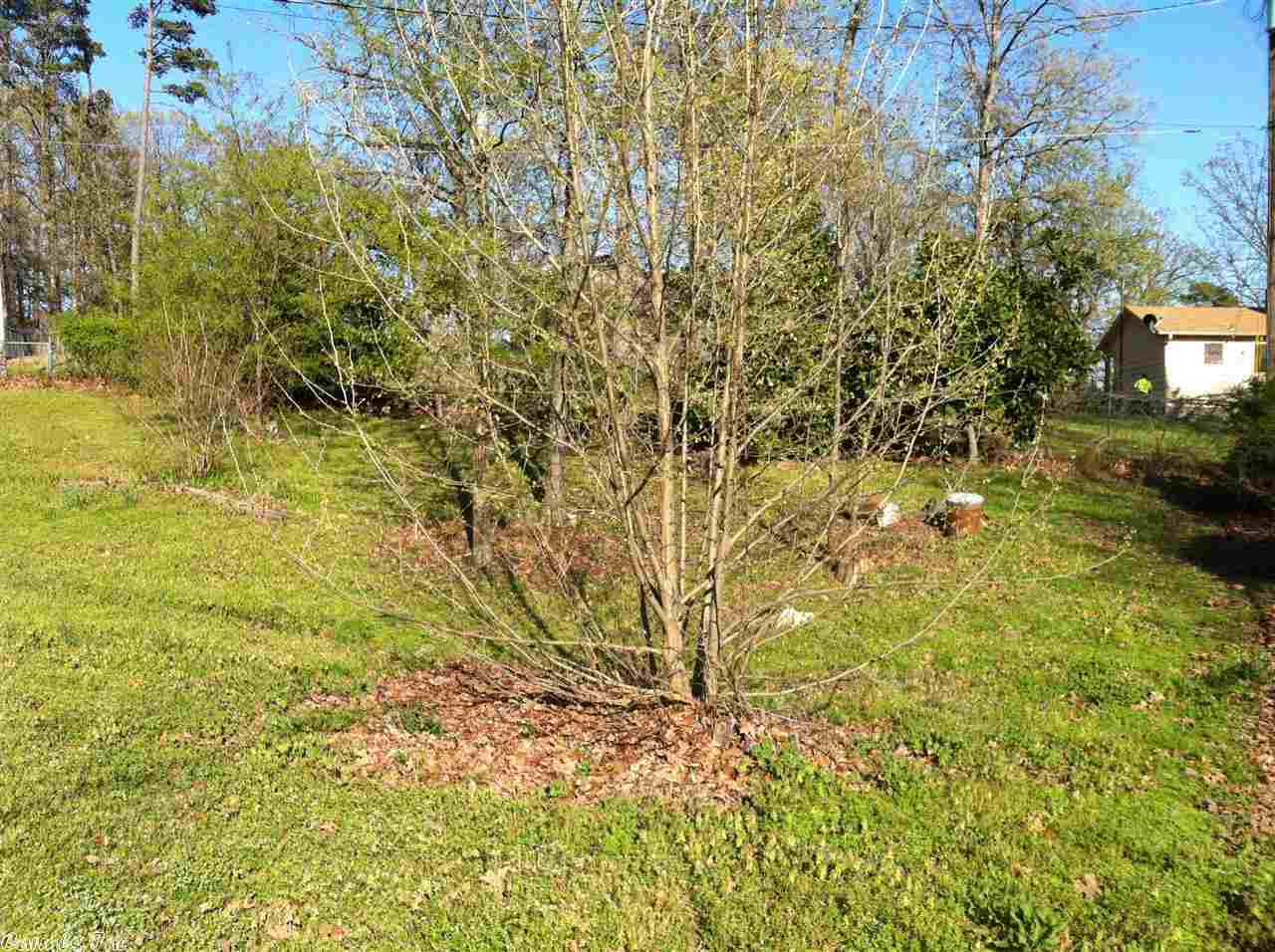 Pine Forest - Residential