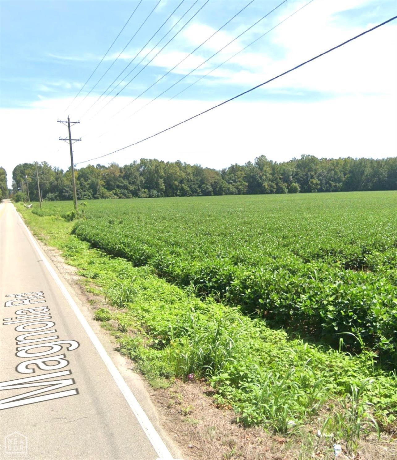 This is a 75 acre tract of property located on Magnolia Road. Currently used as farm ground but with over 1000 front feet on Magnolia and water present and city sewer about 1000 feet away the highest and best use of the property is for development.