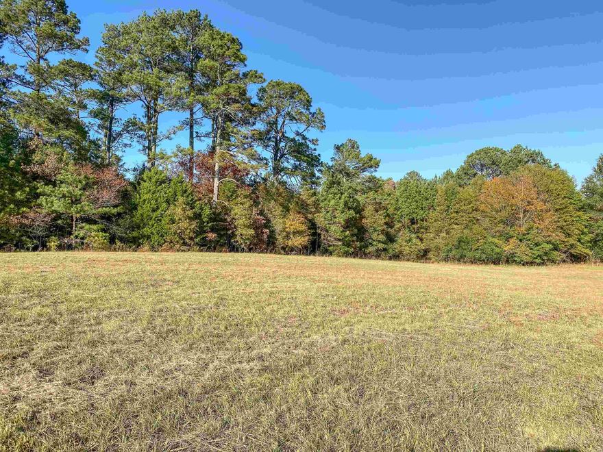 Enjoy the beauty of country living on this scenic 10.77-acre property. The gently rolling land rises to an upper portion that would make an ideal homesite, offering peaceful panoramic mountain views while overlooking the picturesque pond below. The pond adds charm and character to the landscape, creating a tranquil setting surrounded by open space and natural beauty. With plenty of room to spread out and enjoy the outdoors, this property offers both privacy and a serene atmosphere. Conveniently located near Lake Hamilton School—one of Hot Springs’ most desirable school districts—this is a wonderful opportunity to build your dream home in a peaceful yet accessible location.