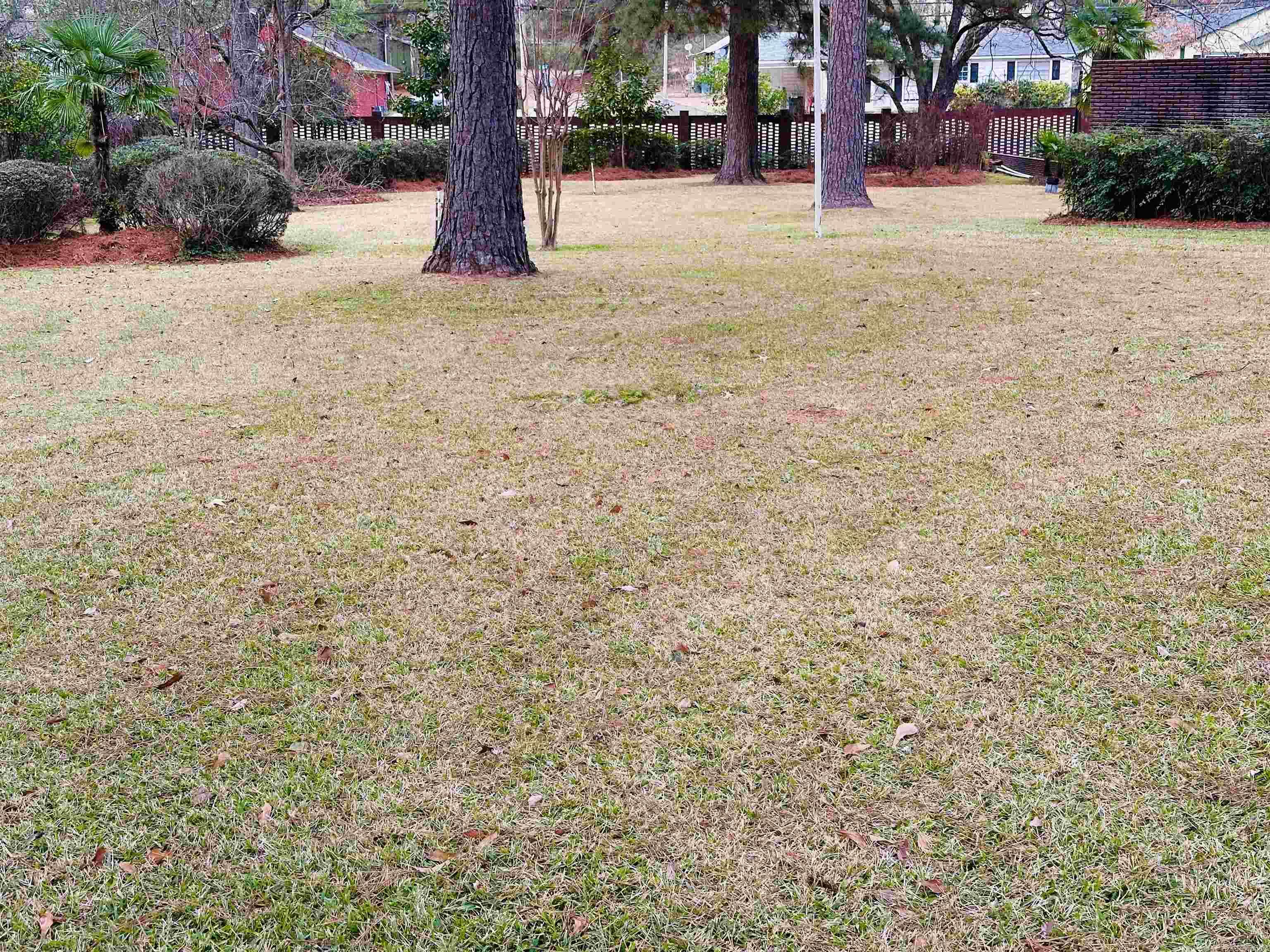 GRAYSON-KEMMERER-WARNOCK - Residential