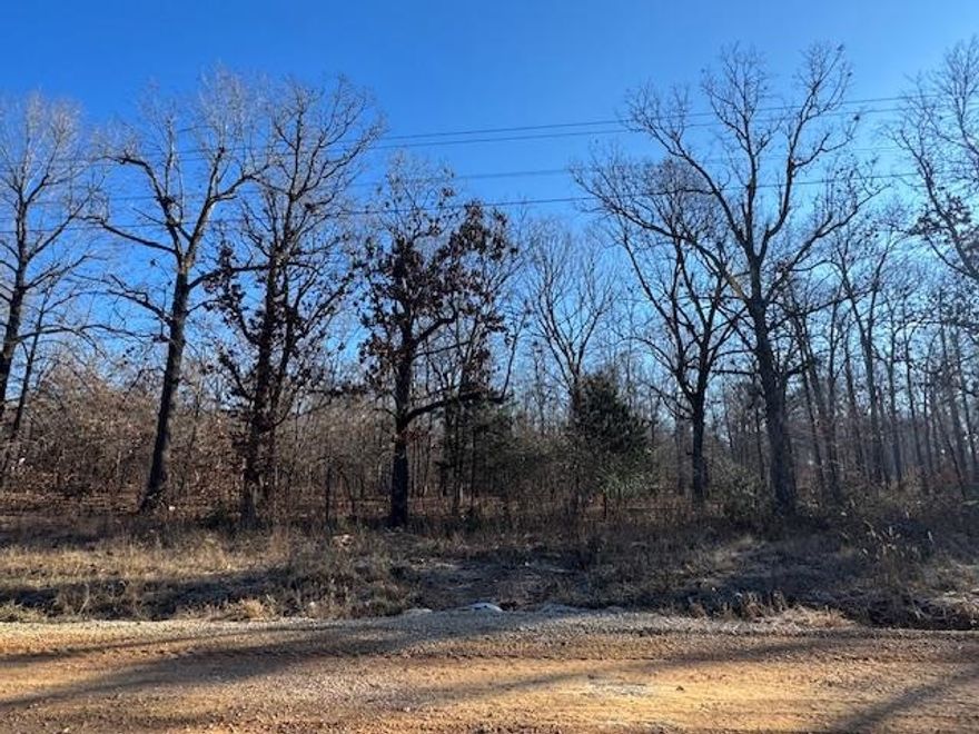 1.4+/- Acres of Buildable Land in Ellismere Heights, Fulton County, AR! Buildable vacant land perfect for a home, cabin, or weekend getaway that offers off-road seclusion. Quiet area with natural privacy, while also being close to local amenities and Ozark recreation. It is two blocks from the South Golf Course, less than five miles from shopping and restaurants. It is two adjoining lots, but the seller is willing to sell them individually as well. Great opportunity for your next build or investment. Call today to schedule a showing!