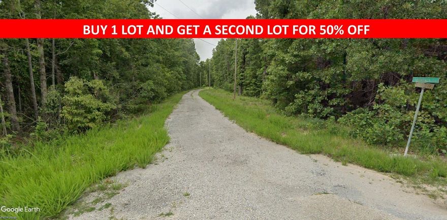 Buy one lot and get 50% off an additional lot! Owner-finance for easy terms. Cash buyers can pay by debit or credit card as well. Nice lot to develop or hold for future value. Public water and electric are available to run to property and will need septic. Owner/agent. Finance is 5 months at $194 and closing costs are included. Lots marked with red banner are part of promotion. No limit on lots. Buyer responsible for any/all taxes and lots sold "as-is". Quit claim deed conveys. Parcel ID# 145-11667-000