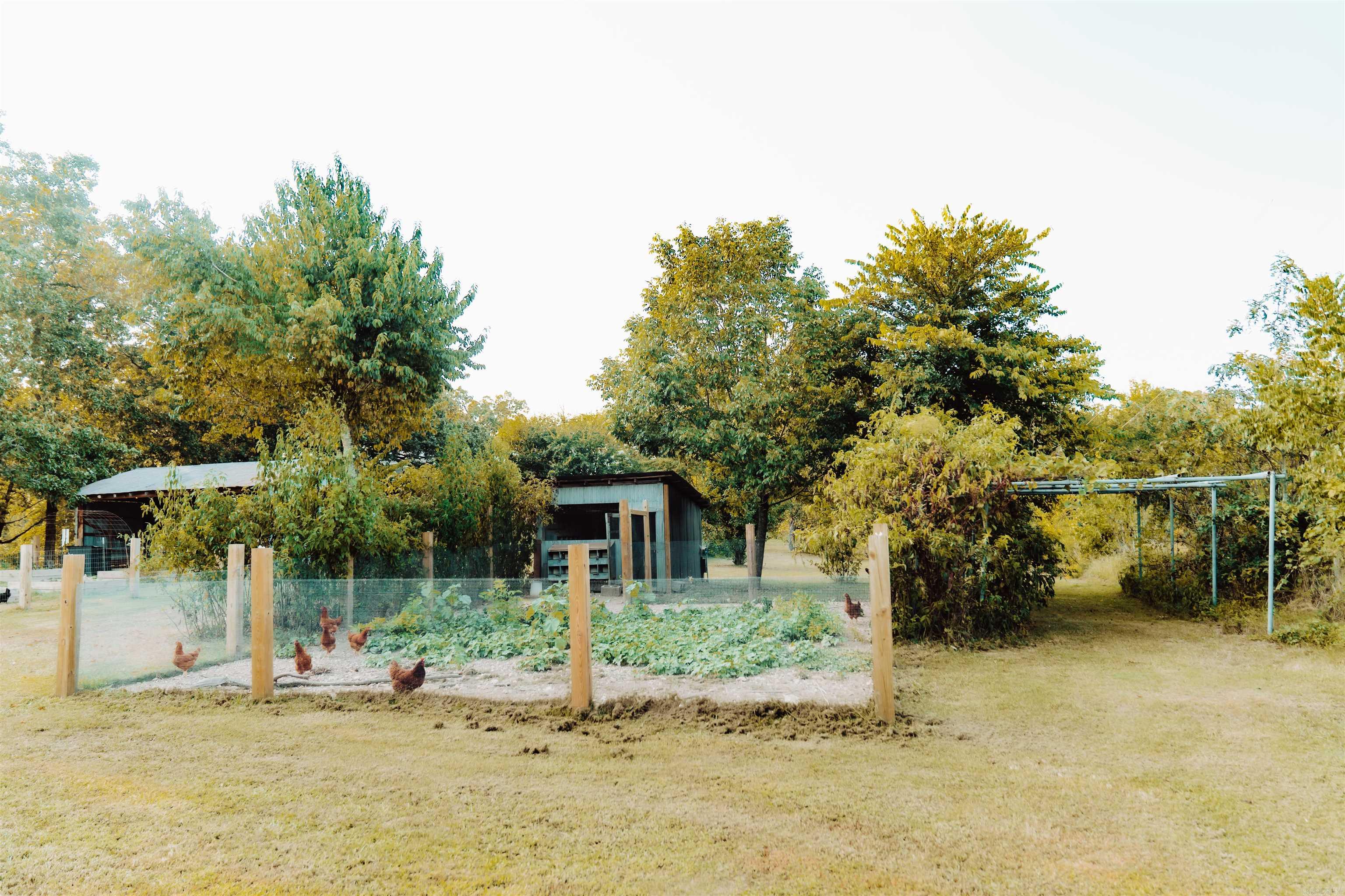 Metes & Bounds - Farm