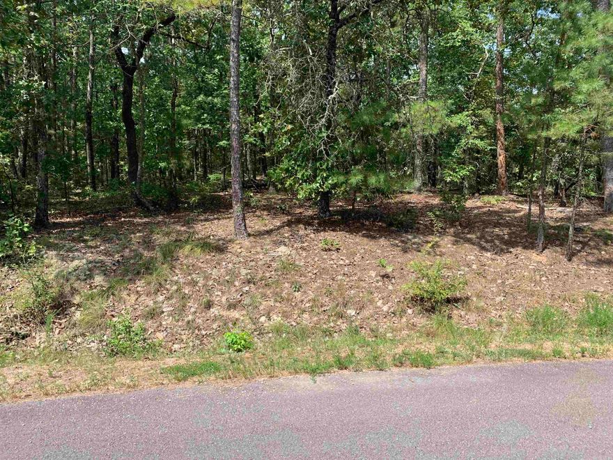 Beautiful building lot in Hot Springs Village. Make this one yours and begin enjoying all the Village amenities. New buyers to the Village have a $250.00 buy in fee payable to the POA at closing.