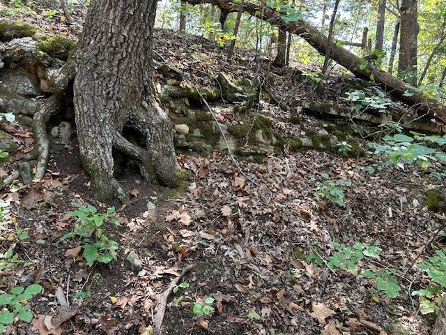 Panther Cove - Land