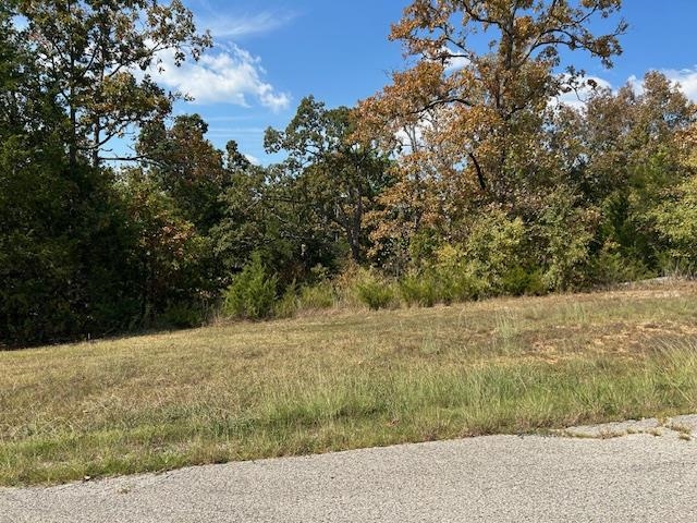 Discover the perfect spot for your dream home on this beautiful, mostly wooded 4-acre lot in the scenic Ozark foothills. Located just outside of Mountain Home, Arkansas, this property offers stunning lake views and a tranquil country setting. It has city water and electric available, and a septic system is already in place. The lot is surveyed with minimal restrictions, and the property's sloped terrain provides excellent potential for a walkout basement and tiered landscaping. Enjoy easy access to town via a paved road, and a convenient cul-de-sac location in a great neighborhood. With Norfork Lake and the White River just moments away, this is your chance to embrace the peaceful lifestyle of North Central Arkansas.