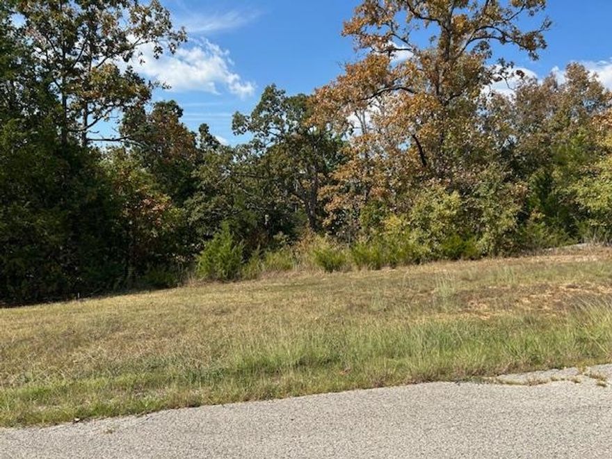 Discover the perfect spot for your dream home on this beautiful, mostly wooded 4-acre lot in the scenic Ozark foothills. Located just outside of Mountain Home, Arkansas, this property offers stunning lake views and a tranquil country setting. It has city water and electric available, and a septic system is already in place. The lot is surveyed with minimal restrictions, and the property's sloped terrain provides excellent potential for a walkout basement and tiered landscaping. Enjoy easy access to town via a paved road, and a convenient cul-de-sac location in a great neighborhood. With Norfork Lake and the White River just moments away, this is your chance to embrace the peaceful lifestyle of North Central Arkansas.