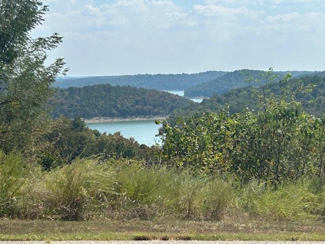 Panther Cove - Land