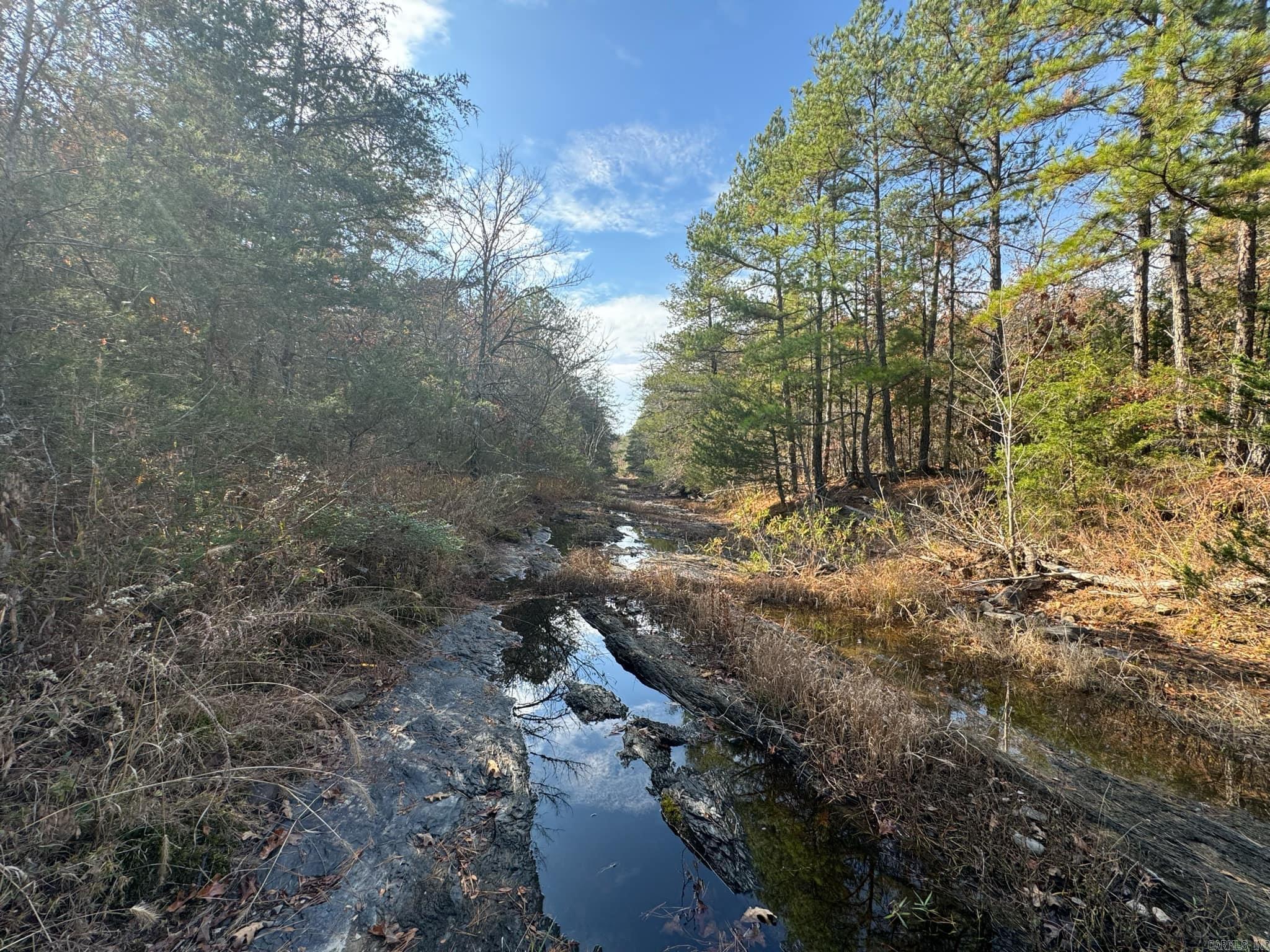 Discover a serene vacant property in Mena, Arkansas, perfect for nature lovers and those seeking a peaceful retreat. This unique land, 6 acres, comes equipped with essential utilities, including a well, septic system, and electric access, making it ideal for building your dream home or a weekend getaway. You'll enjoy the beauty of a spring-fed creek and a larger creek bordering the property, surrounded by lush woods and abundant wildlife. Conveniently located just minutes from Mena, you'll have easy access to shopping, dining, and local amenities. With its mix of flat and gently rolling terrain, this property is ready for your vision, whether for off-grid living or recreational use. Don't miss out on this rare opportunity to make this property yours!