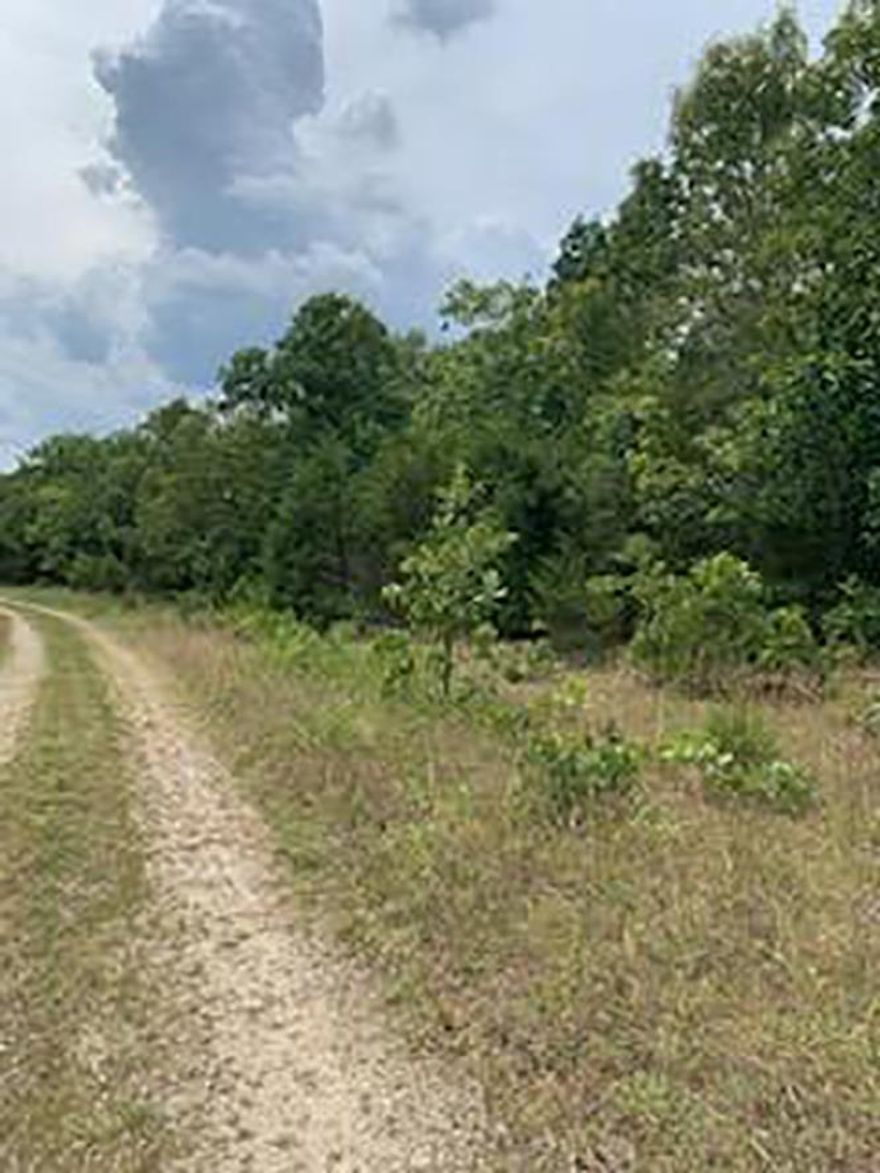 Nice 3 +/- Acre Lot Close to Strawberry River. The lot is flat, wooded and electric. Great place for a camper or build that small get-away/hunting cabin you've dreamed of having.