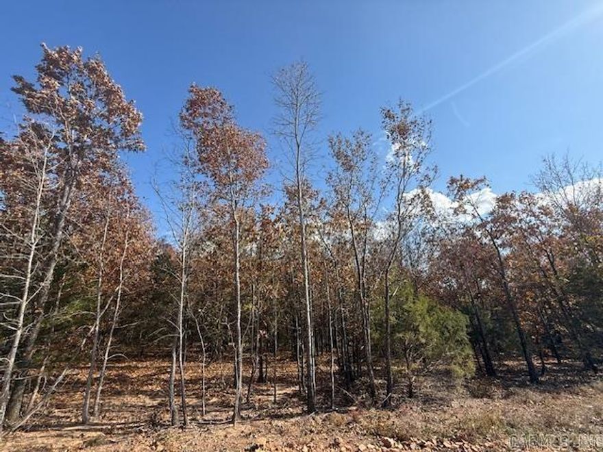 Wooded lot perfect for building your home or building a home to sale.  You could leave trees at the back of the lot for privacy.  All utilities are on the property. 1200 sq. ft. minimum