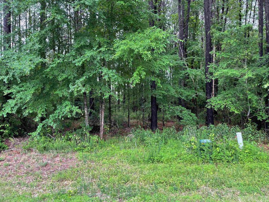 Ready for your new home, minutes to Lake Balboa,