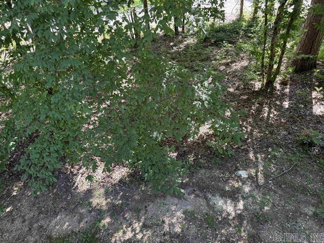 CORTEZ COURTS - Residential