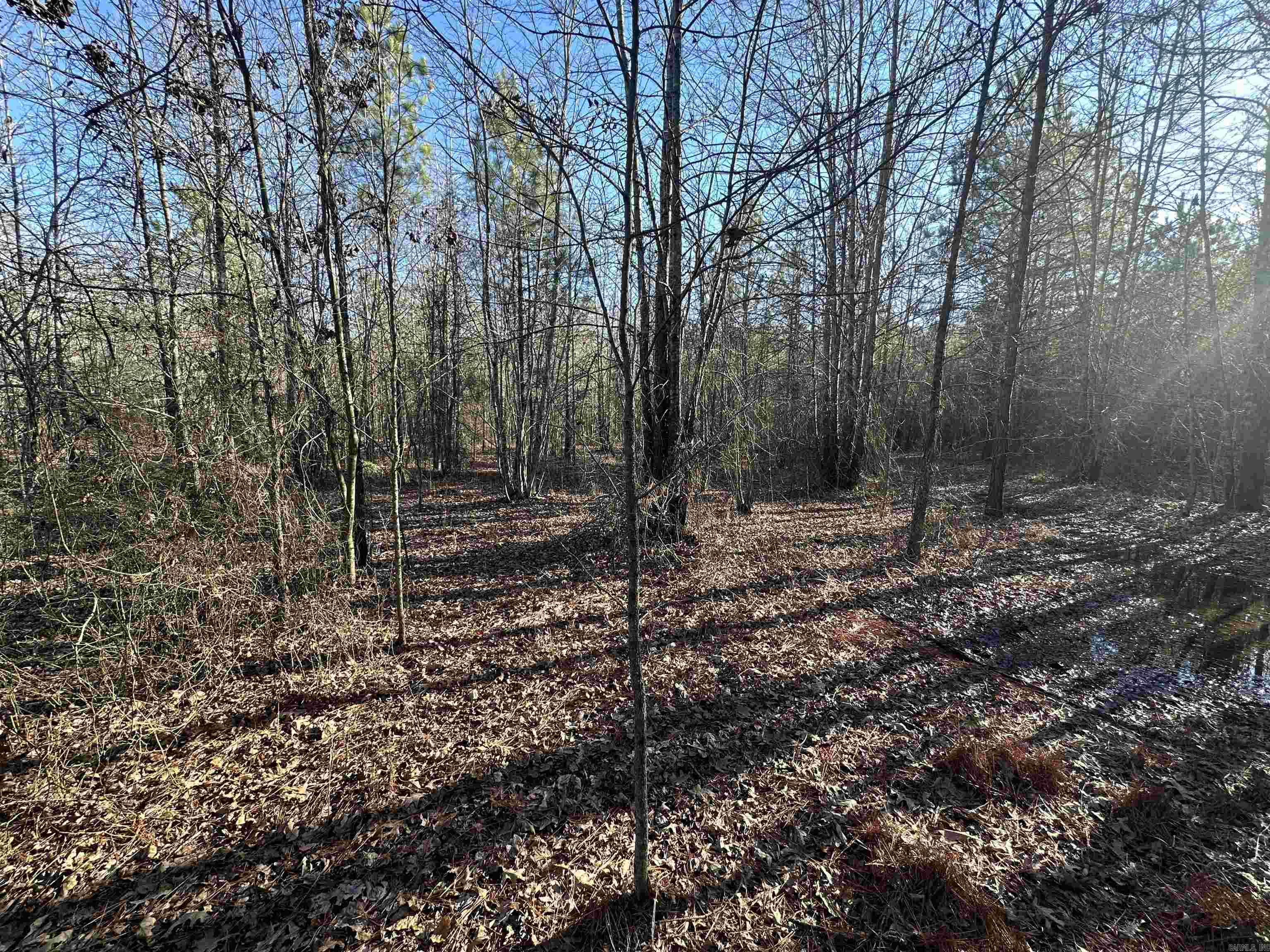 Not in Subdivision - Land