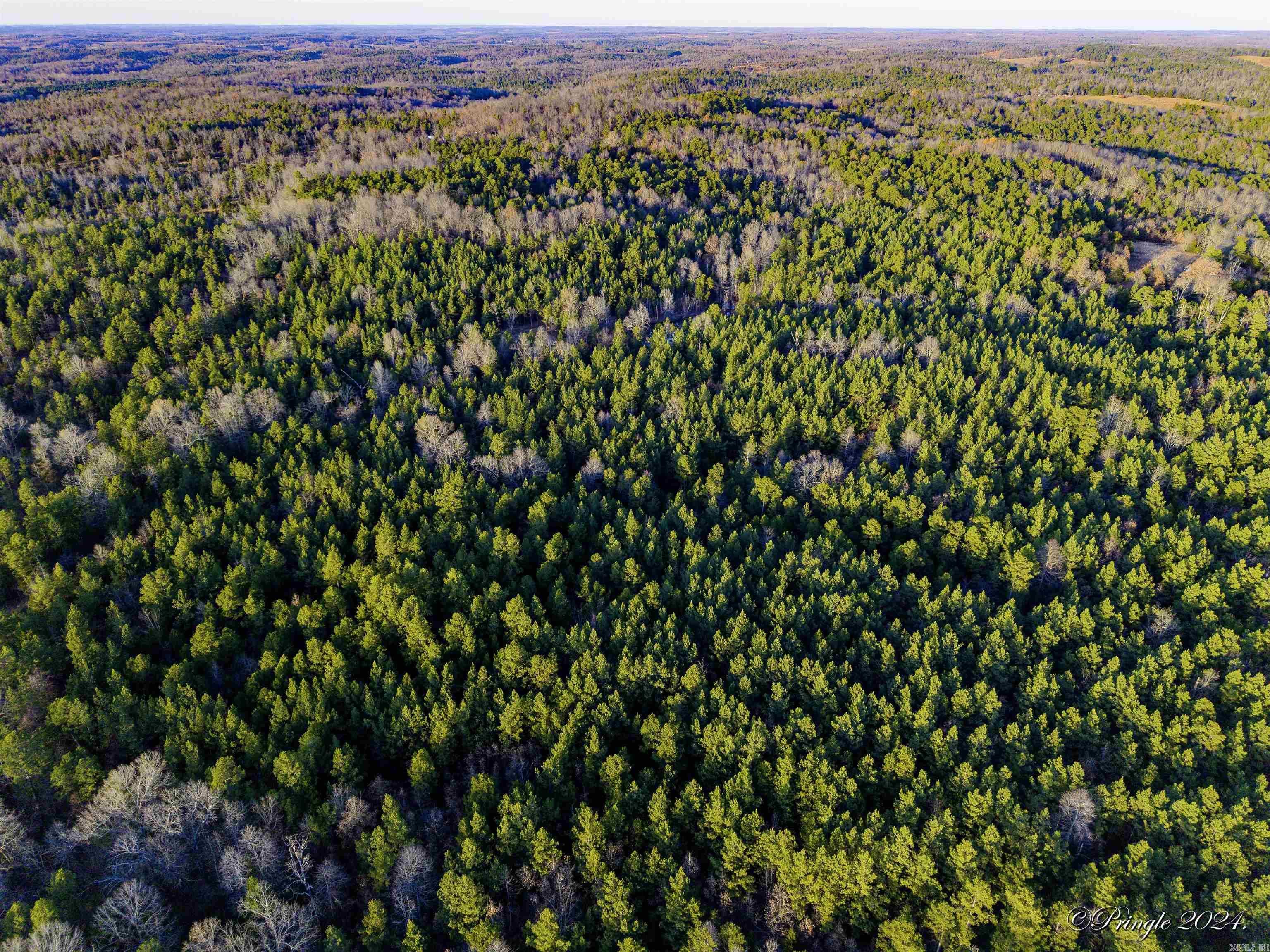 VIOLA ACREAGE - Land