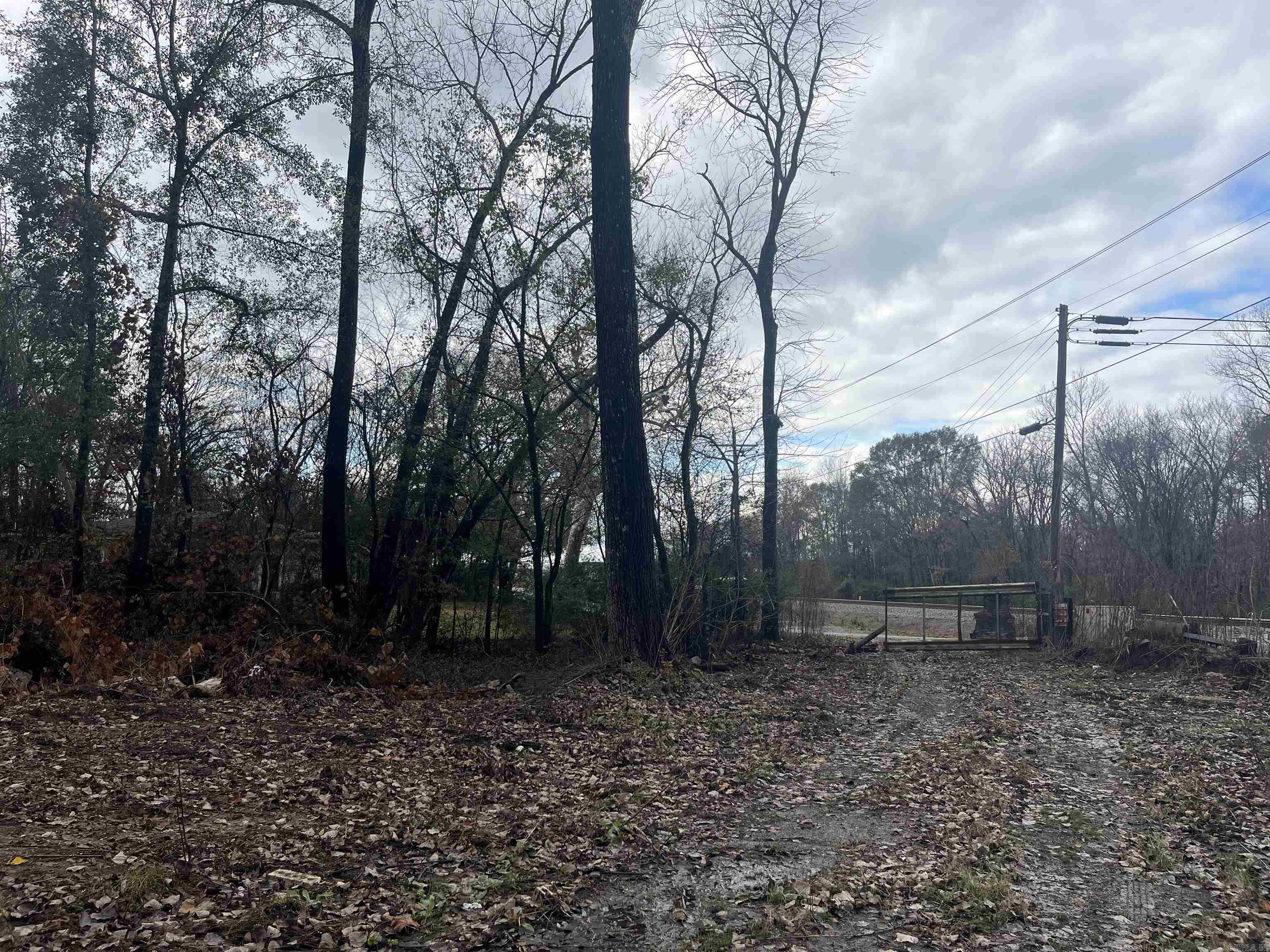 Lund and Hill Original - Land