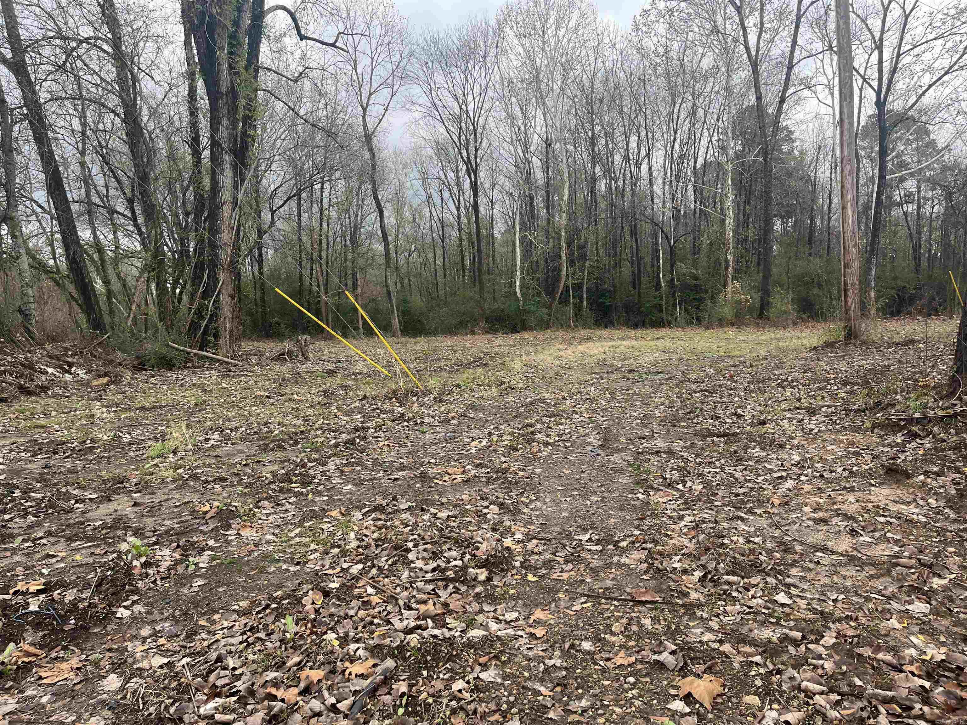 Lund and Hill Original - Land