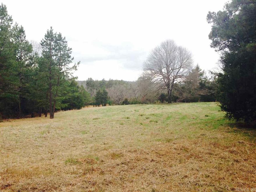 Hidden jewel on Hwy 113!  This beautiful property is bordered by creeks on two sides.  Past the tree lined entrance and through the gate is a beautiful pasture with large trees making the home site very private.  City water is available.  Call us to and we'll be happy to drive you around this beautiful place.