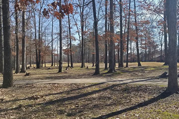 COUNTRY CLUB OF ARK THE - Residential Lease