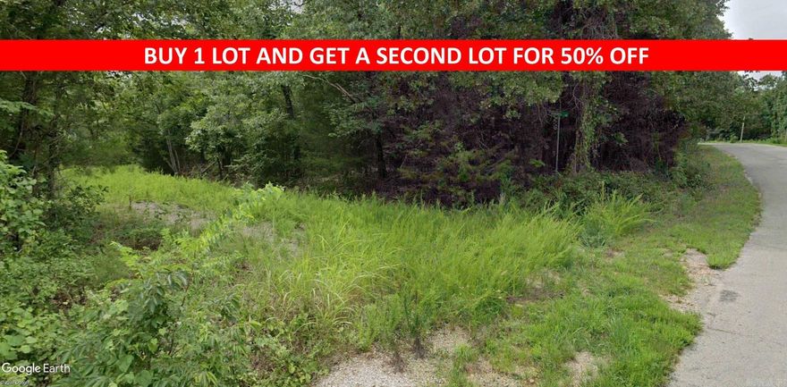 Buy one lot and get 50% off an additional lot! Owner-finance for easy terms. Cash buyers can pay by debit or credit card as well. Nice lot to develop or hold for future value. Public water and electric are available to run to property and will need septic. Owner/agent. No mobiles allowed. 300-2500 minimum build size on any other type of home, depending on subdivision. Finance is 5 months at $194 and closing costs are included. Lots marked with red banner are part of promotion. No limit on lots. Buyer responsible for any/all taxes and lots sold "as-is". Quit claim deed conveys. Parcel ID# 160-12529-000