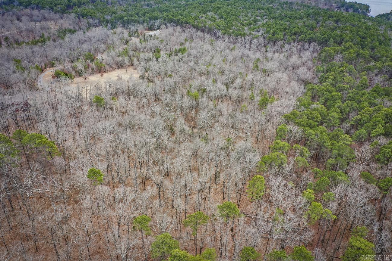 BUFFALO RIDGE - Land