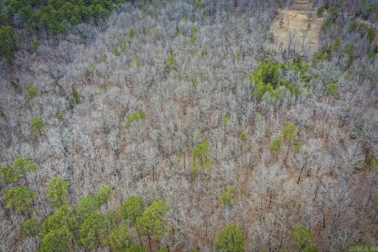 BUFFALO RIDGE - Land