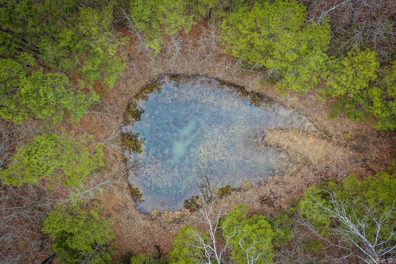 BUFFALO RIDGE - Land