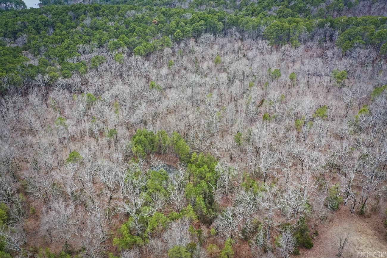 BUFFALO RIDGE - Land