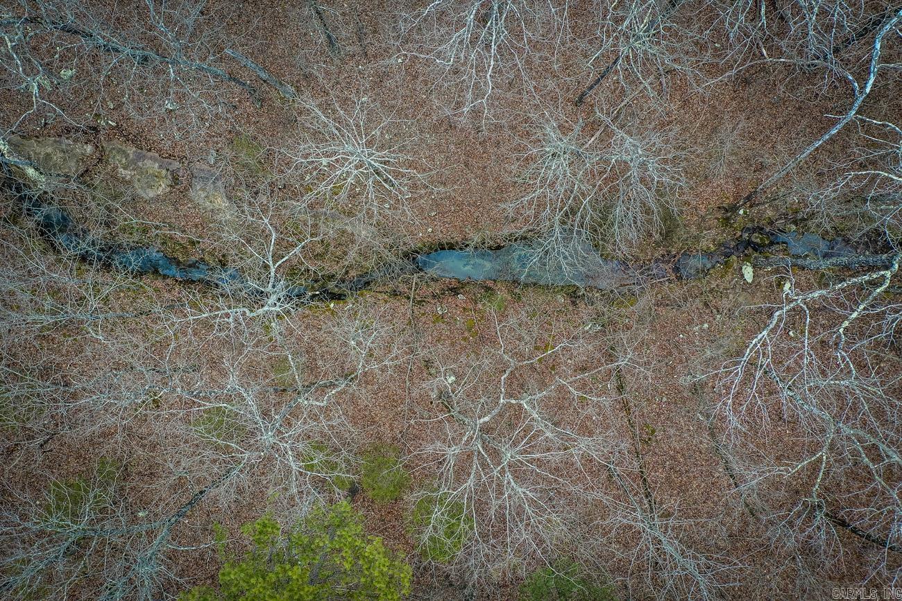 BUFFALO RIDGE - Land