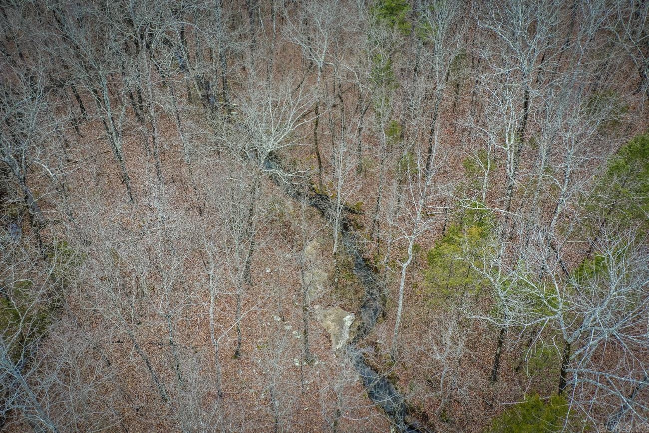 BUFFALO RIDGE - Land