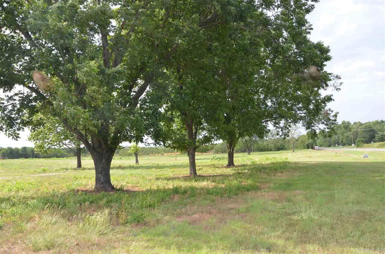 High traffic area and ideal location for old or new business looking for exposure. Property may be purchased in smaller tracts.