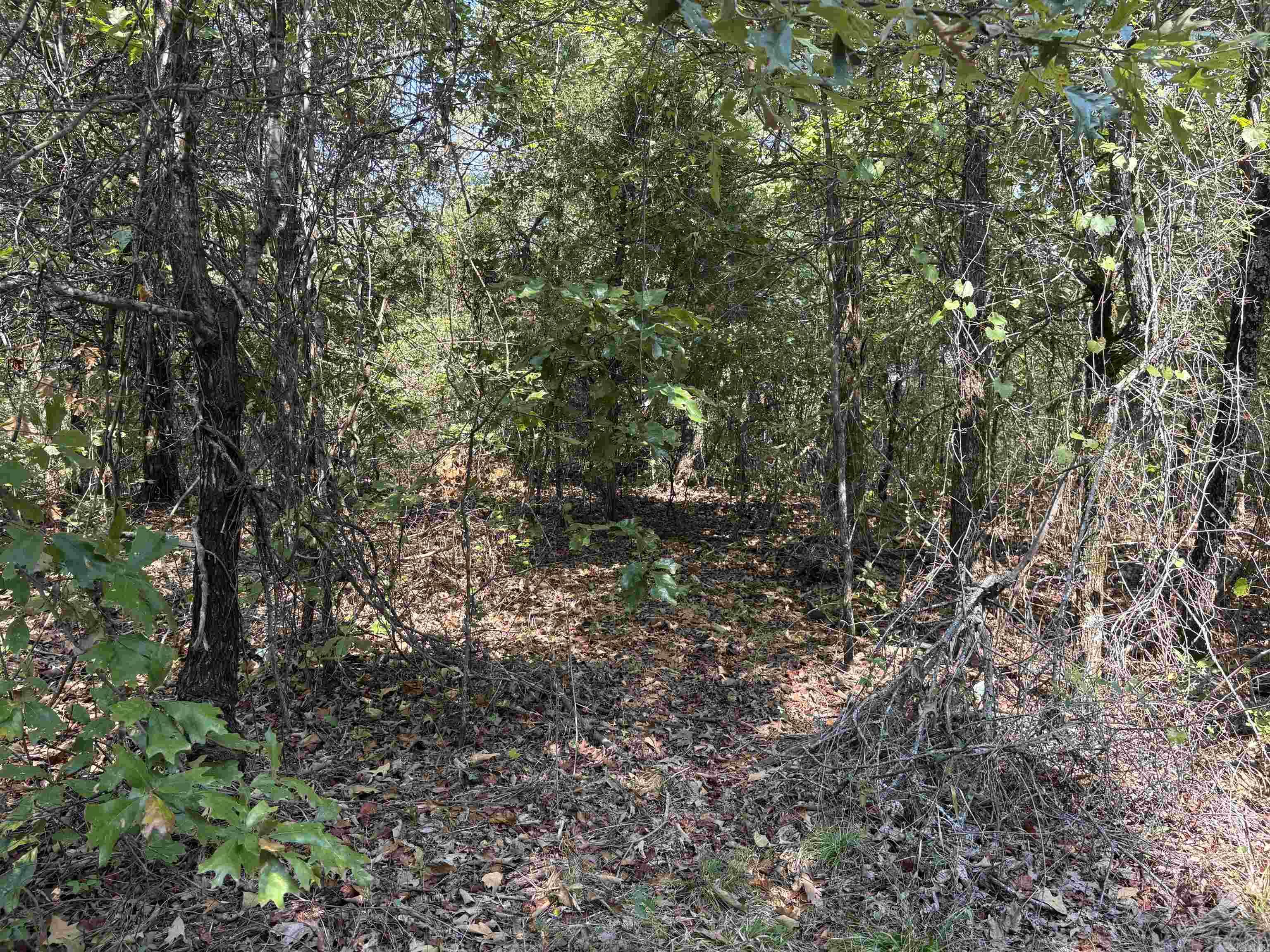 Not in Subdivision - Land