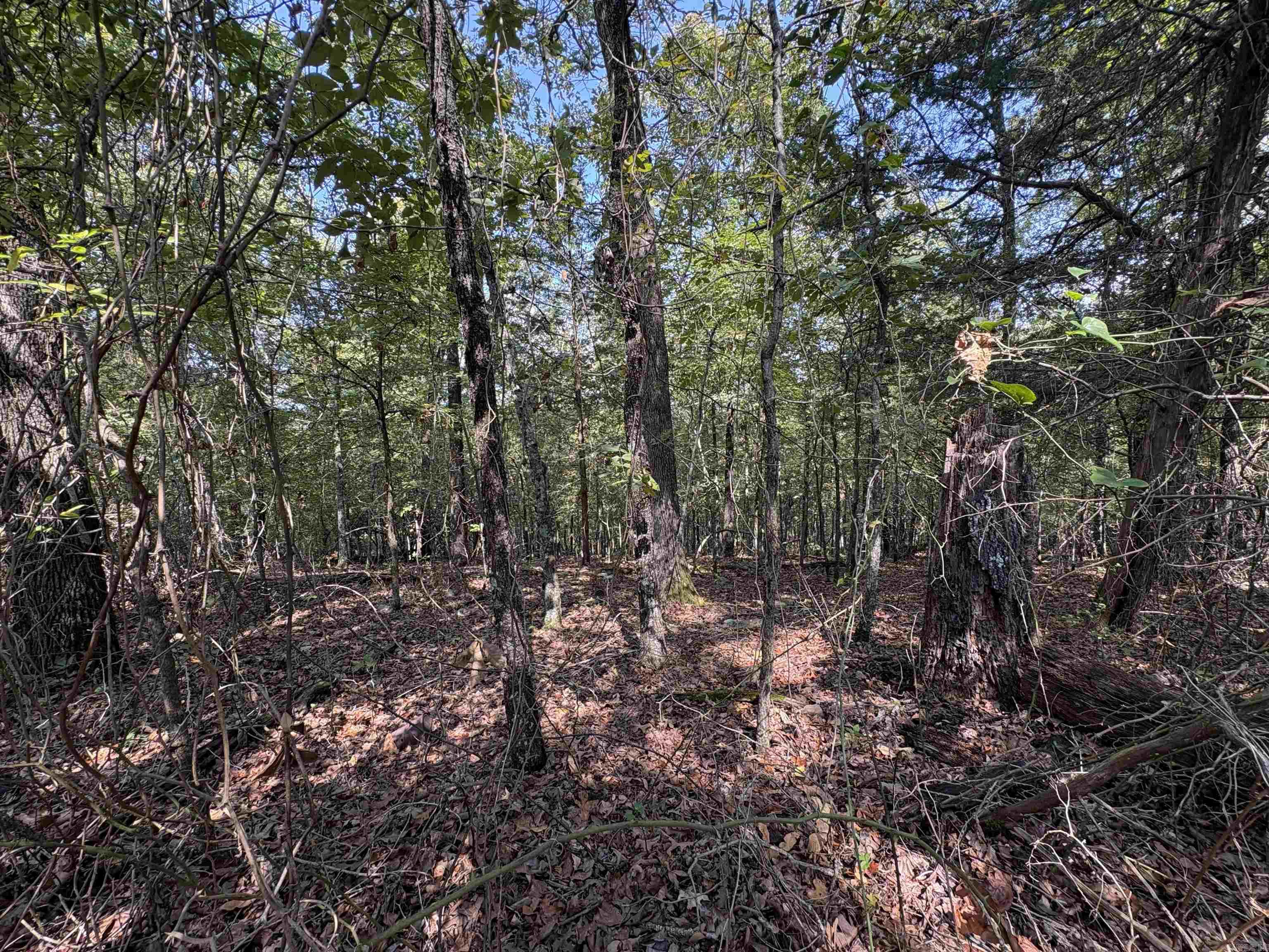 Not in Subdivision - Land