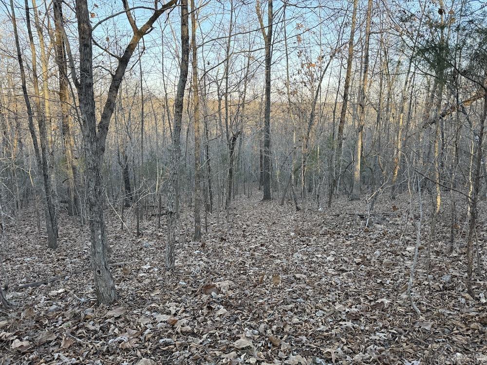 Not in Subdivision - Land